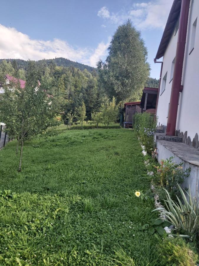 Casa Ika&Matei Villa Borşa Buitenkant foto