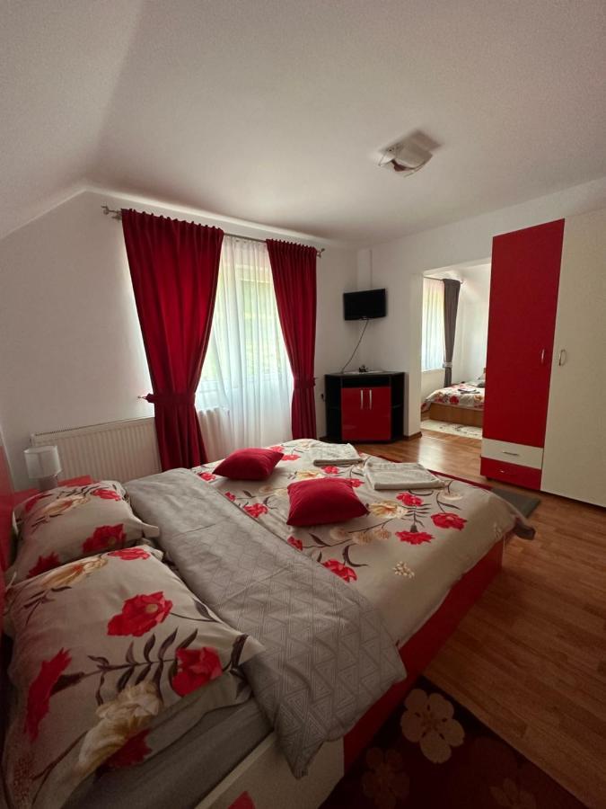 Casa Ika&Matei Villa Borşa Buitenkant foto