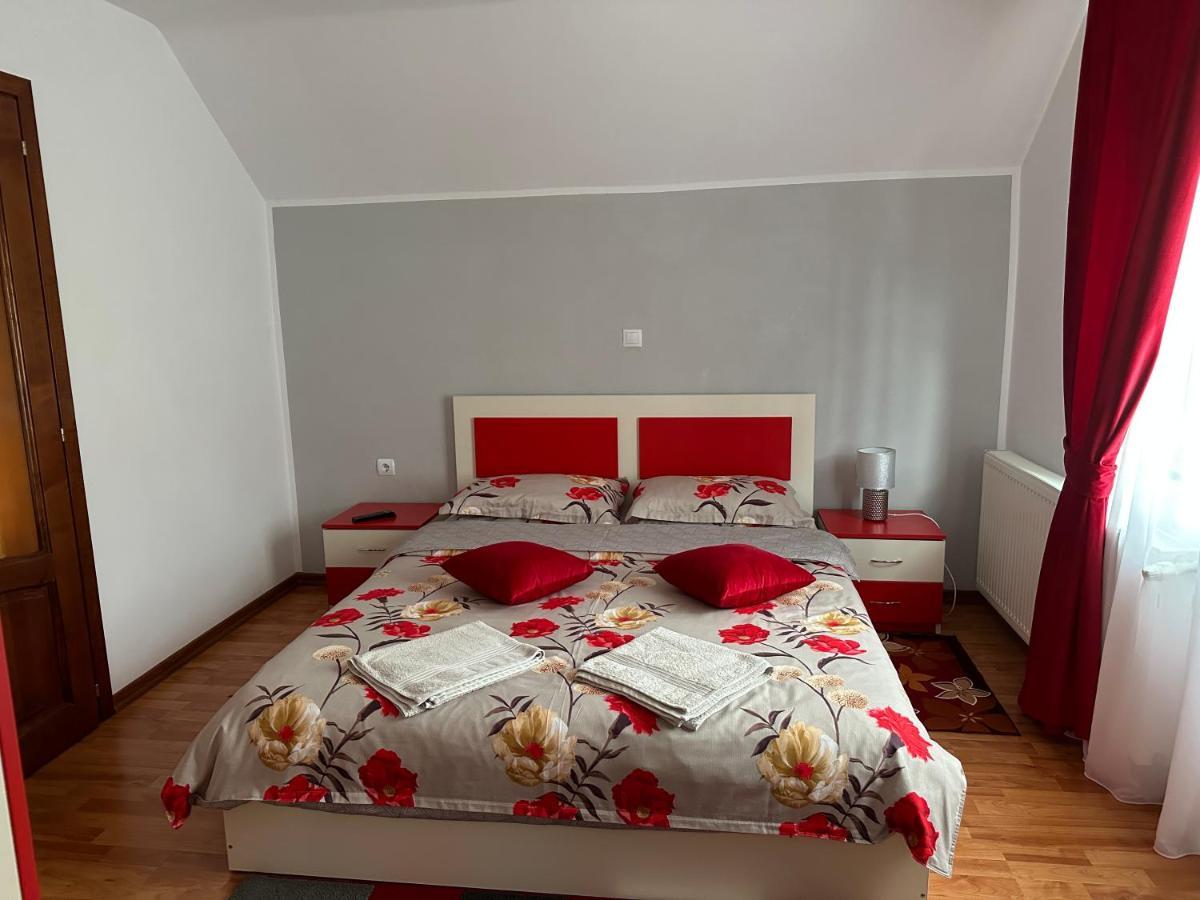 Casa Ika&Matei Villa Borşa Buitenkant foto