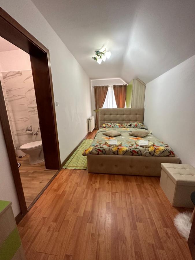 Casa Ika&Matei Villa Borşa Buitenkant foto