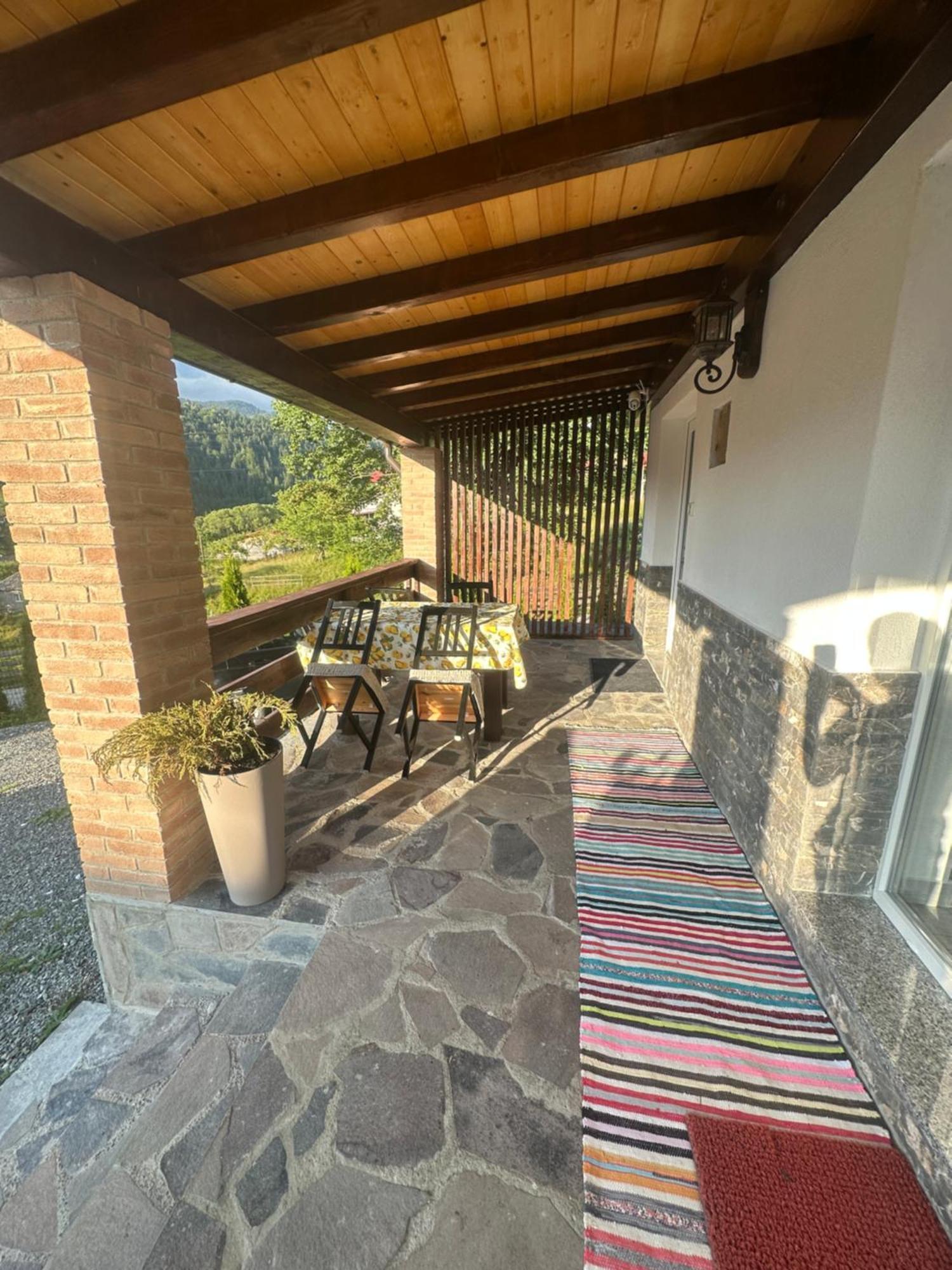 Casa Ika&Matei Villa Borşa Buitenkant foto