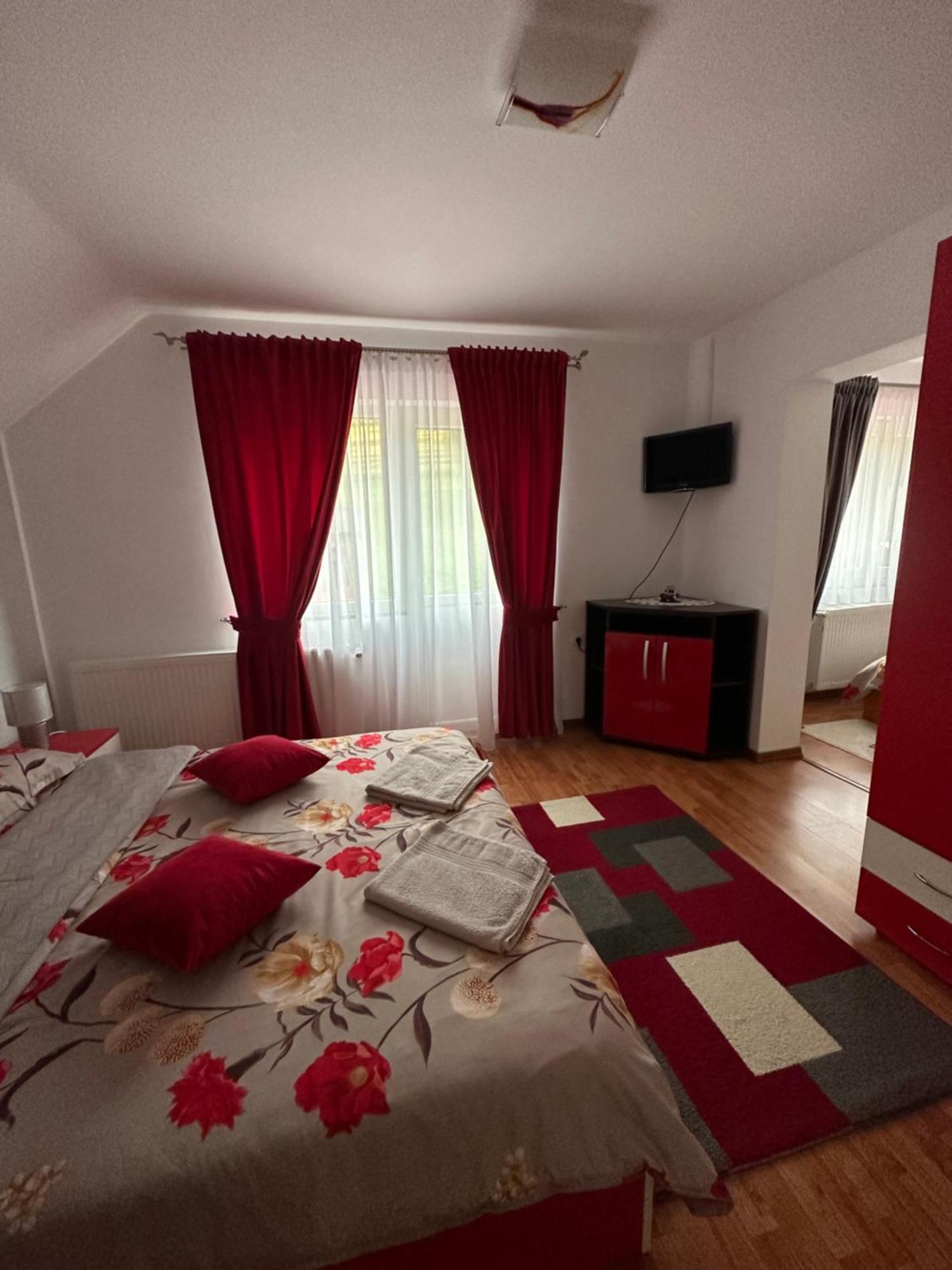Casa Ika&Matei Villa Borşa Buitenkant foto